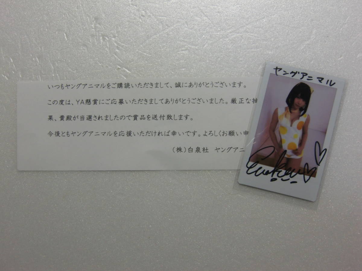 えなこ チェキ サイン入り ヤングアニマル 8月12日(木)発売