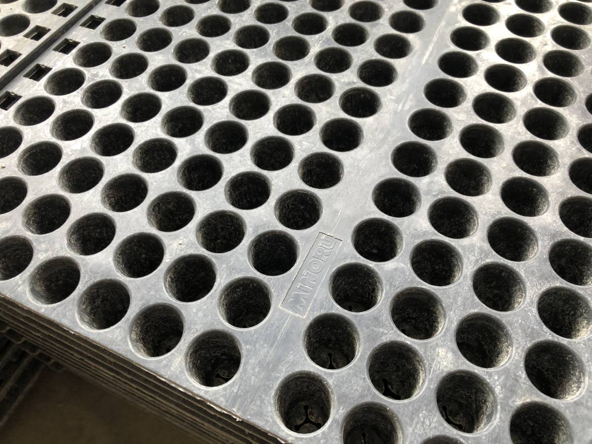 みのる ポット苗箱 448穴 500枚+10枚サービス ポット タマネギ 田植