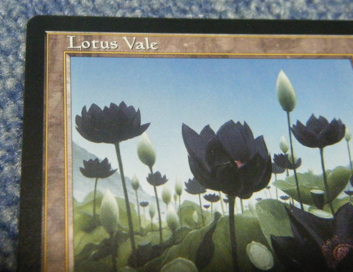 YI キ3-175 MTG 英語版 《水蓮の谷間/Lotus Vale》 無色 R レア 土地
