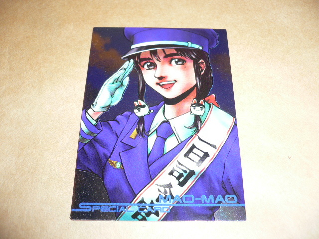 ソニックウィングス トレーディングカード 85 Special Card