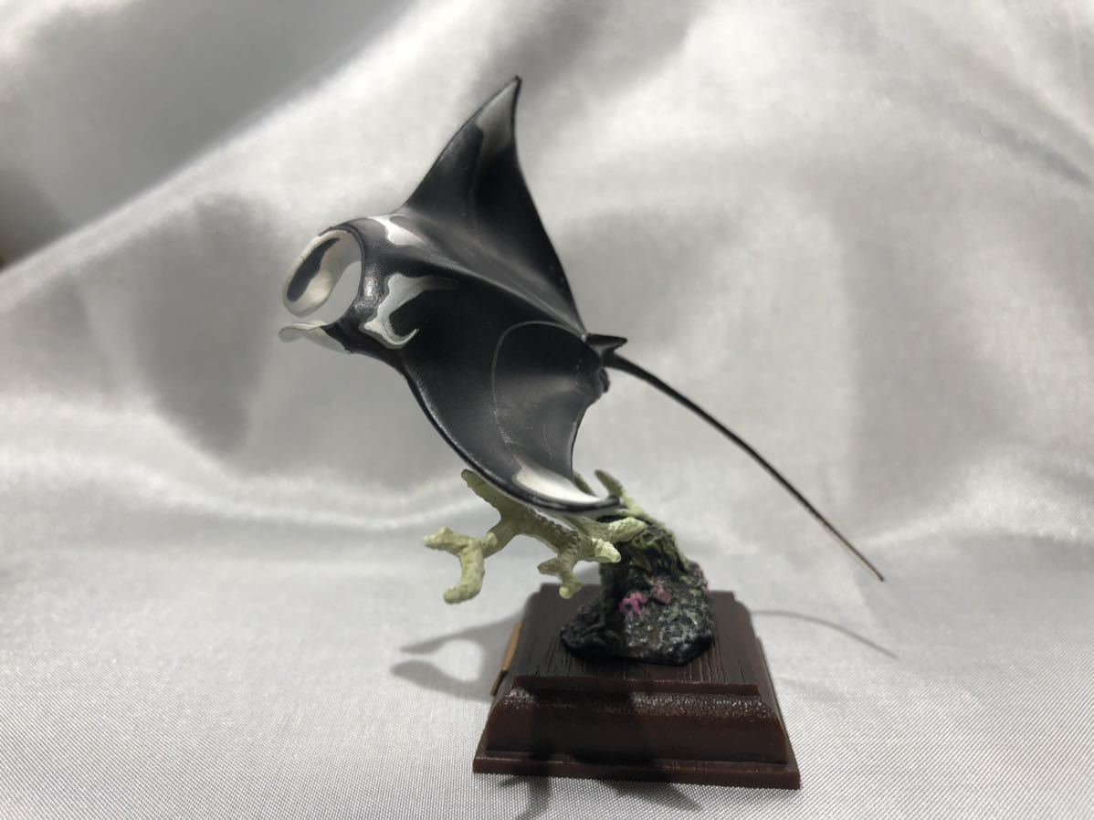 ネイチャーテクニカラー　海遊館　オニエイトマキエイ ネイチャーテクニカラー 海遊館ミュージアム オニイトマキエイ（マンタ