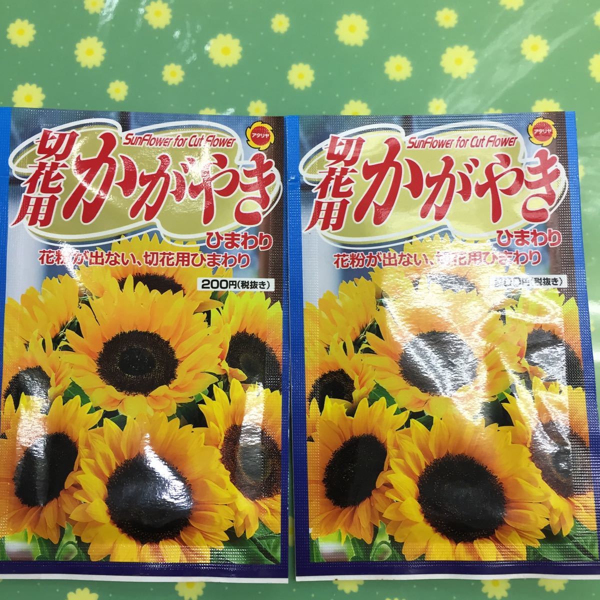 新品 花粉が出ないひまわりの種 切り花用ひまわり2袋セット送料無料3月引きスタート の落札情報詳細 ヤフオク落札価格情報 オークフリー スマートフォン版
