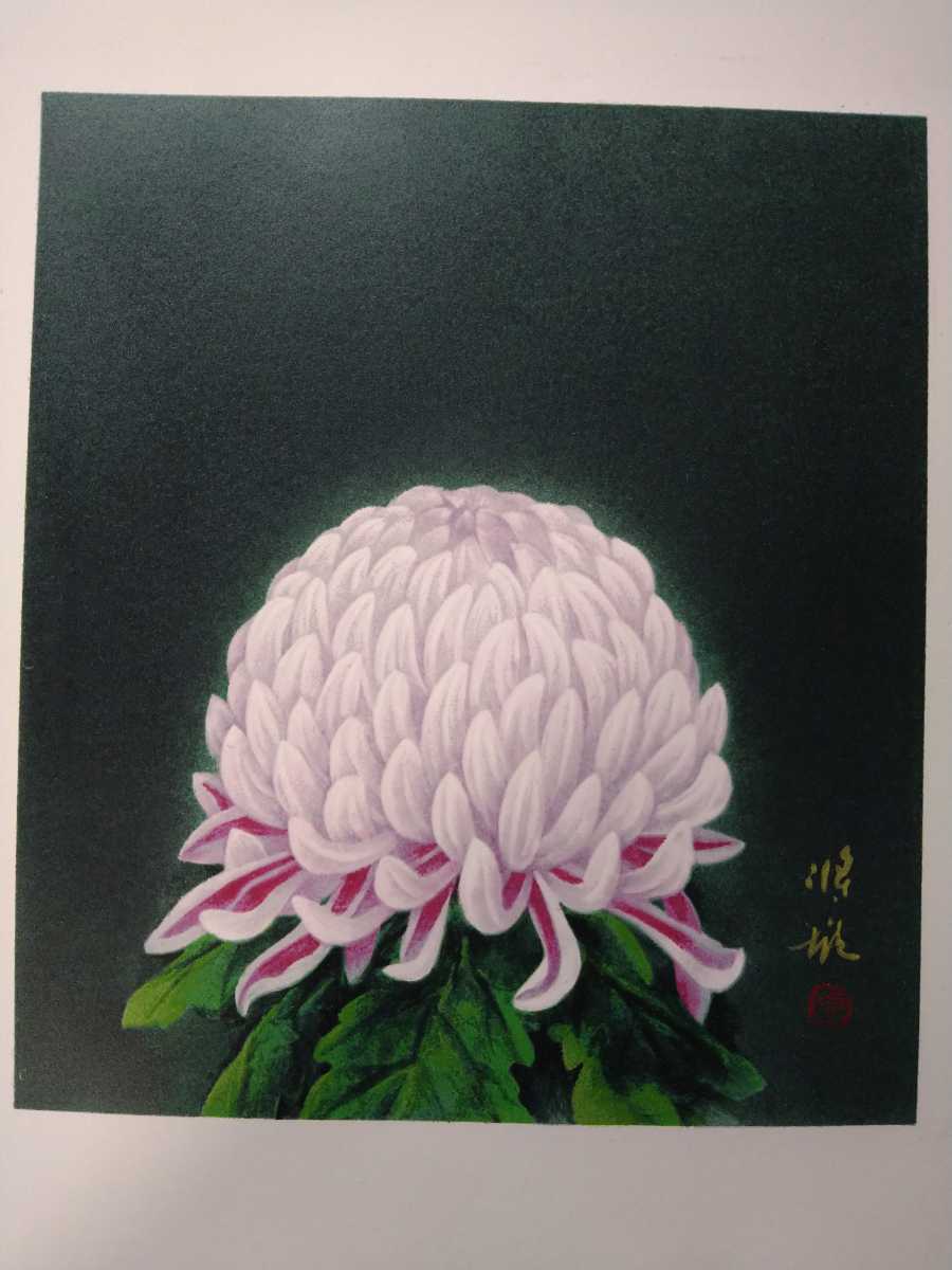 非売品 真作保証 関根将雄 リトグラフ「菊華」画寸 24cm×27cm 埼玉県