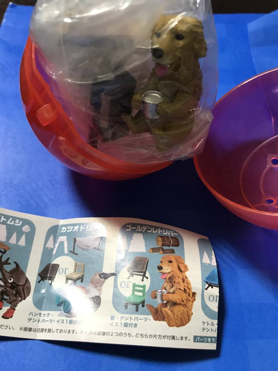 新品 どうぶつキャンプ 02 ゴールデンレトリバー 緑の椅子 どうぶつ 犬 ガチャガチャ 動物 キャンプ ガチャ の落札情報詳細 ヤフオク落札価格情報 オークフリー スマートフォン版