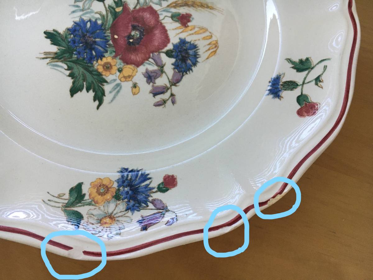 国内発送【サルグミンヌsarreguemines】花リム絵皿 agresteアグレスト