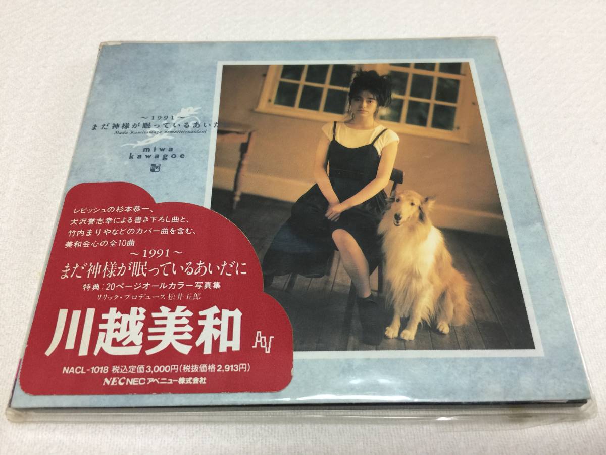 川越美和『～1991～まだ神様が眠っているあいだに』 川越美和 〜1991〜まだ神様が眠っているあいだに - メルカリ