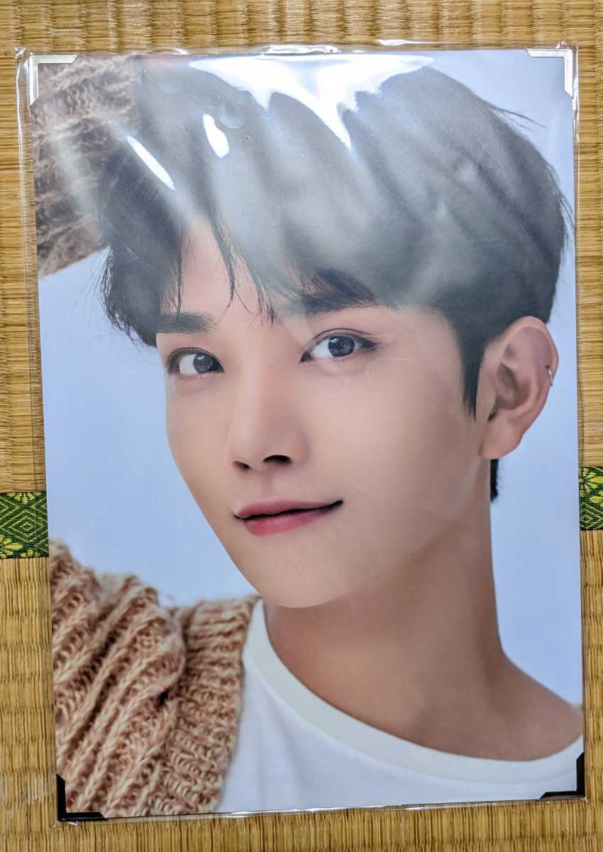 seventeen carat land 2021 ジョシュア seventeen carat land 2021