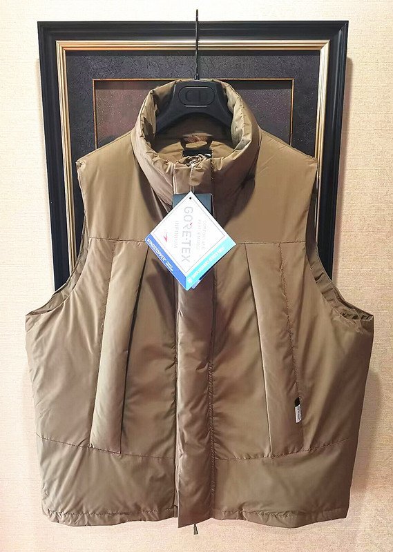 ダイワピア39 ダウンベスト GORE-TEX INFINIUM 【公式通販】