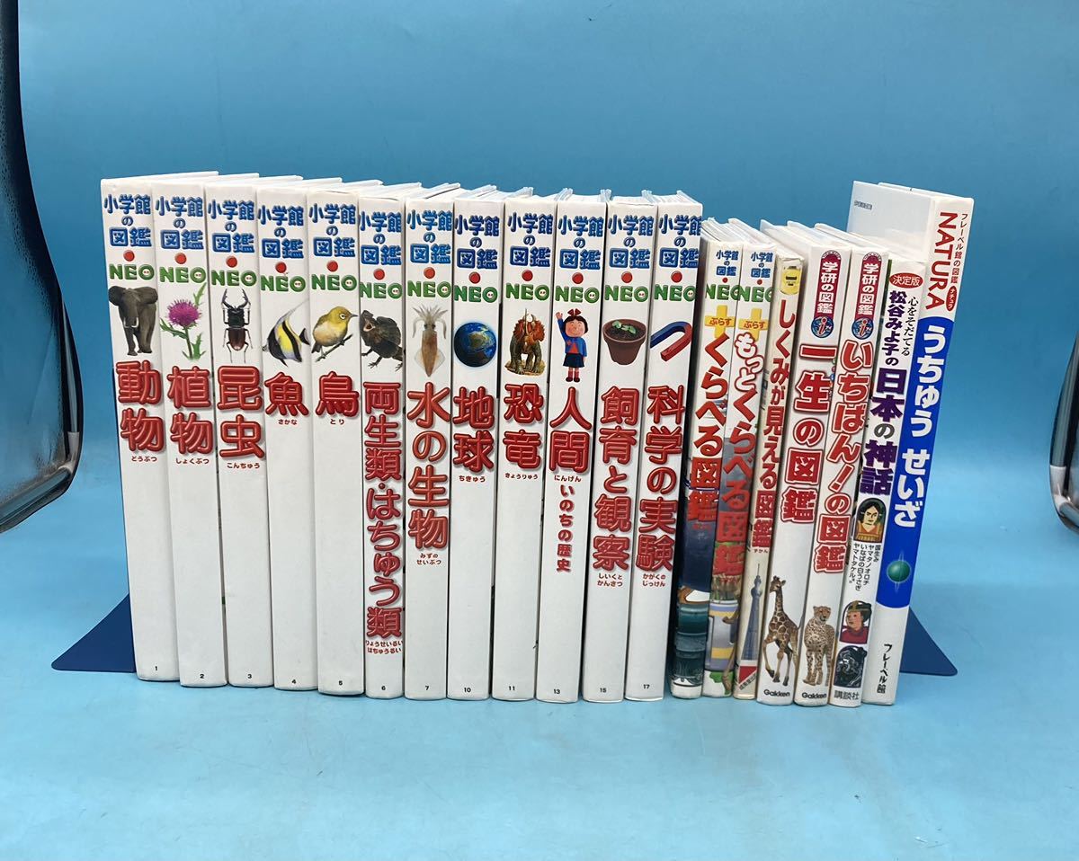 小学館『NEO』図鑑12冊➕ブルーベル館『NATURA』1冊