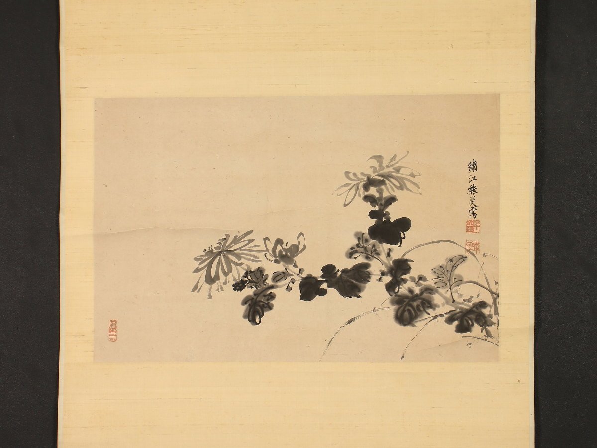 模写/熊代熊斐/椿に小禽図/布袋屋掛軸HI-946 模写/熊代