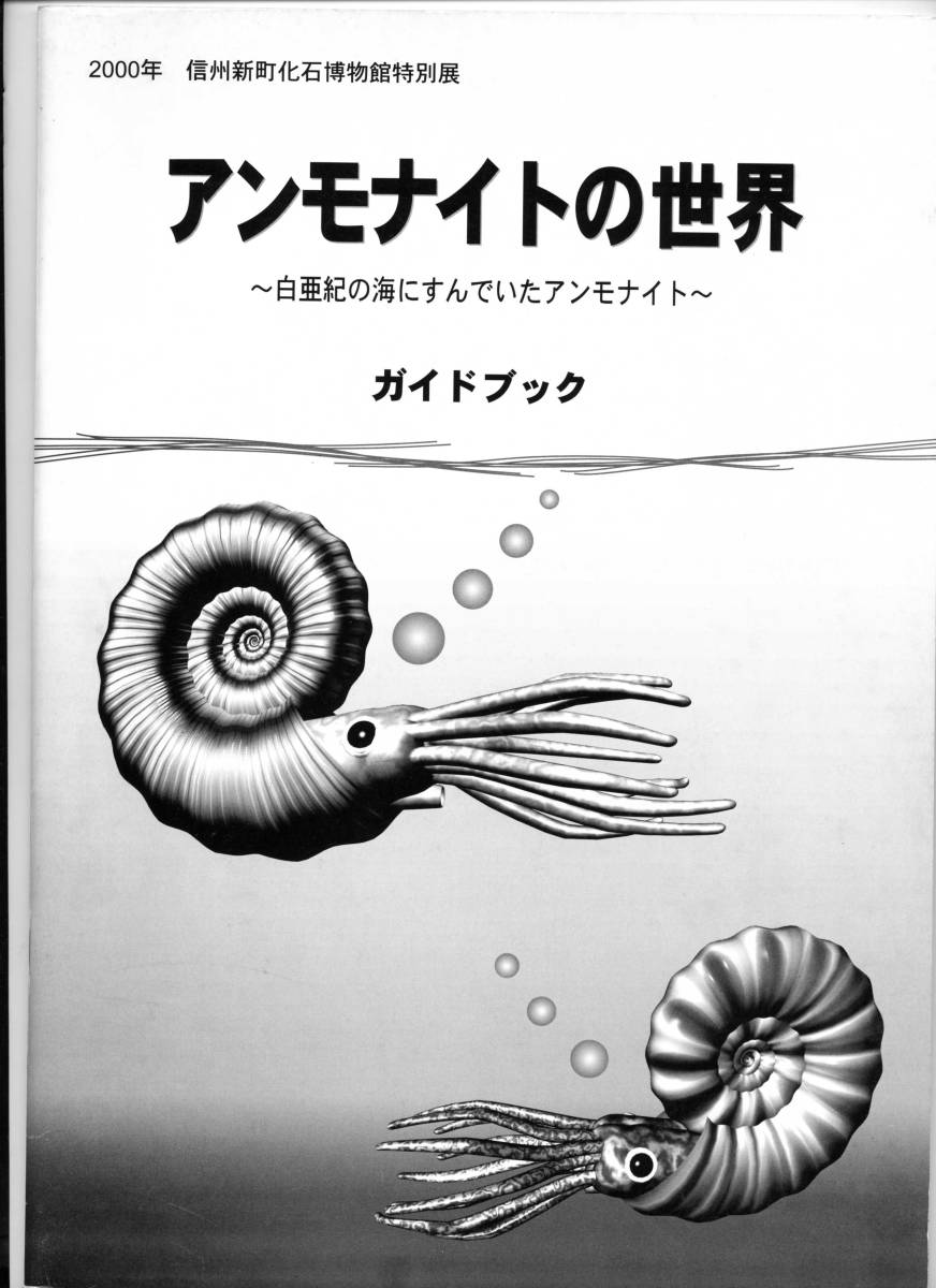 やや傷や汚れあり】「三葉虫の世界」「アンモナイトの世界」 信州新町