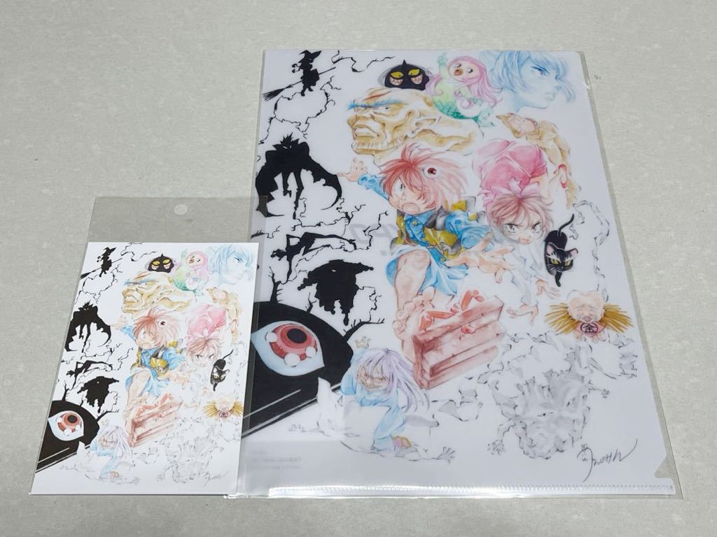 COMPLEX セット➕クリアファイル付き 【公式通販】