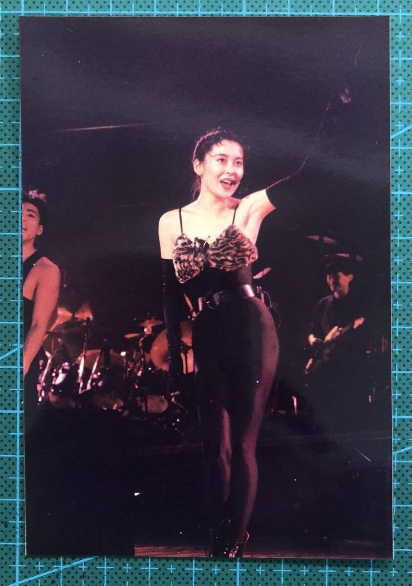 中山美穂 写真2L(激レア) 中山美穂 2L判写真｜Yahoo!フリマ（旧PayPayフリマ）