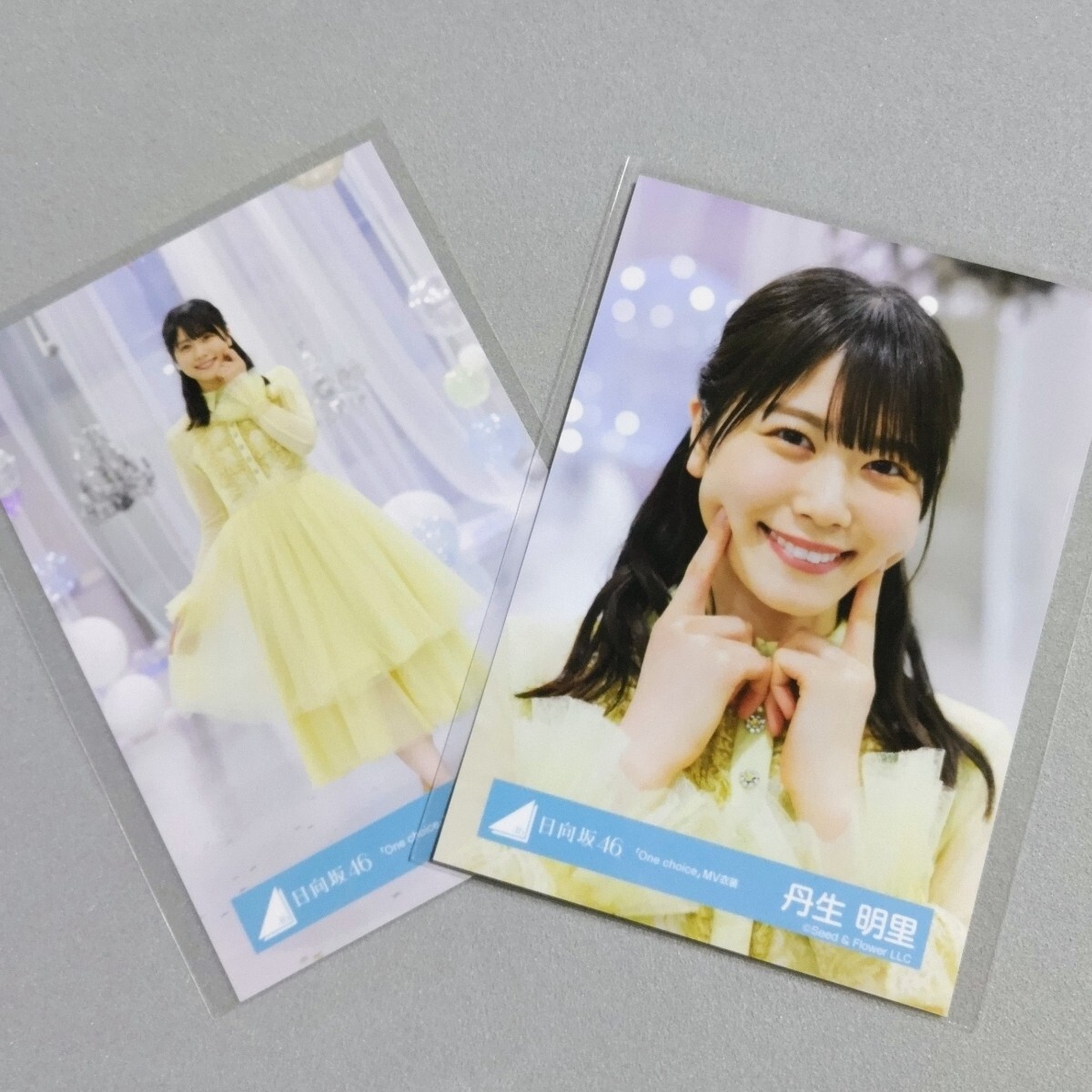 丹生明里 アクリルスタンド ONE CHOICE 日向坂