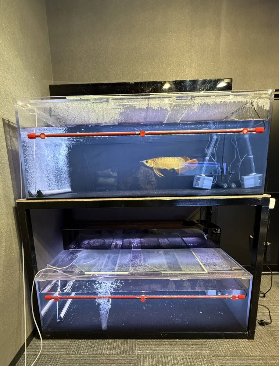 水中ポンプ25wろ材付きフルセット大型水槽万能濾過装置濾過外部式濾過層送料込み 濾過器 ろ過 沈殿層 蓋あり 濾過装置 濾過外部式濾過層 ウィスト濾過