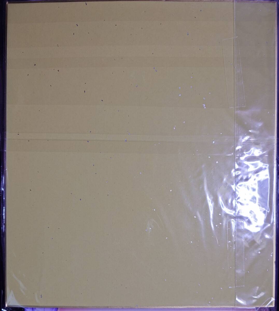新品】電気外 戯画 アイキス 三枝アヤメ 直筆サイン色紙付き