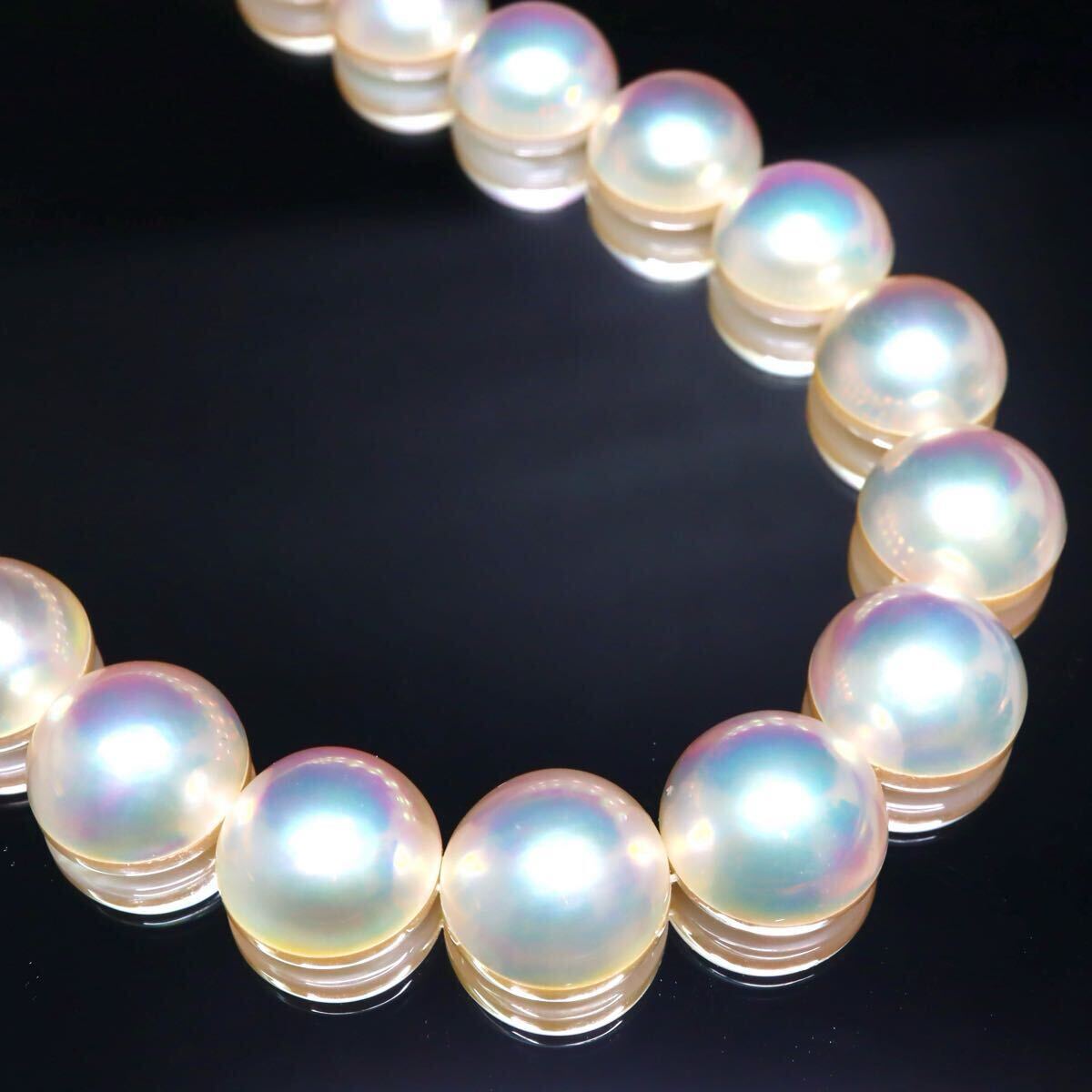 値下げ交渉可【SHIN】麻田浩「地の静物」油彩画 真作保証 額装