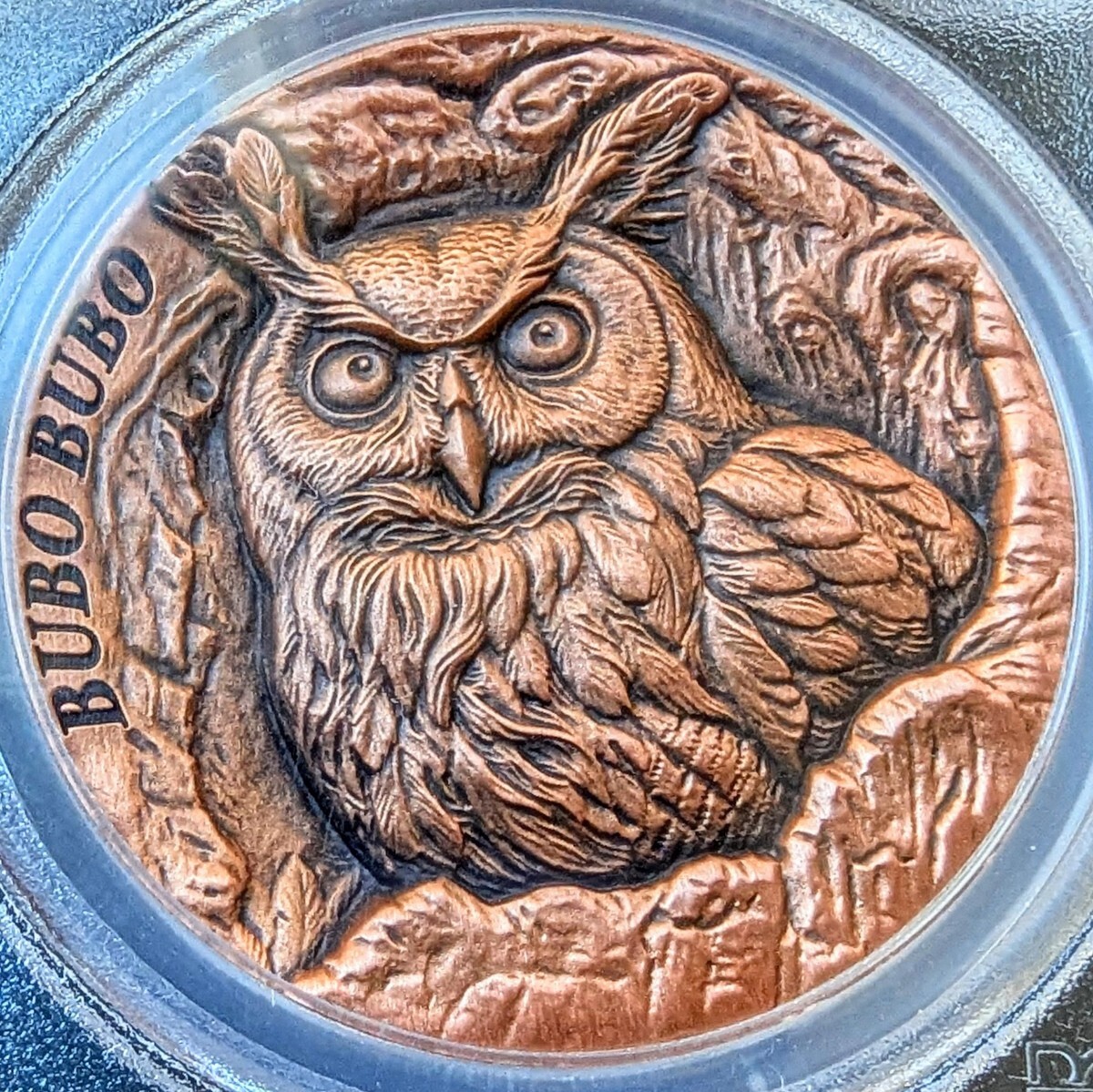 金岡茂幸 フクロウ ミミズク 彫刻 木彫り 金岡茂幸 フクロウ ミミズク 彫刻 木彫り 金岡茂幸 フクロウ ミミズク