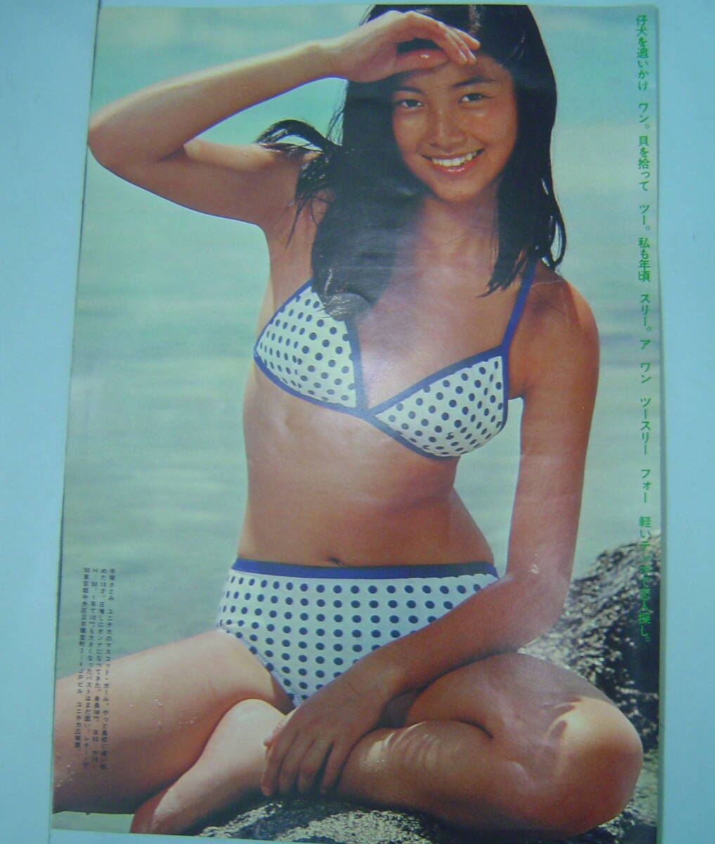 目立った傷や汚れなし】手塚さとみ 手塚理美 【雑誌・切り抜き・当時物
