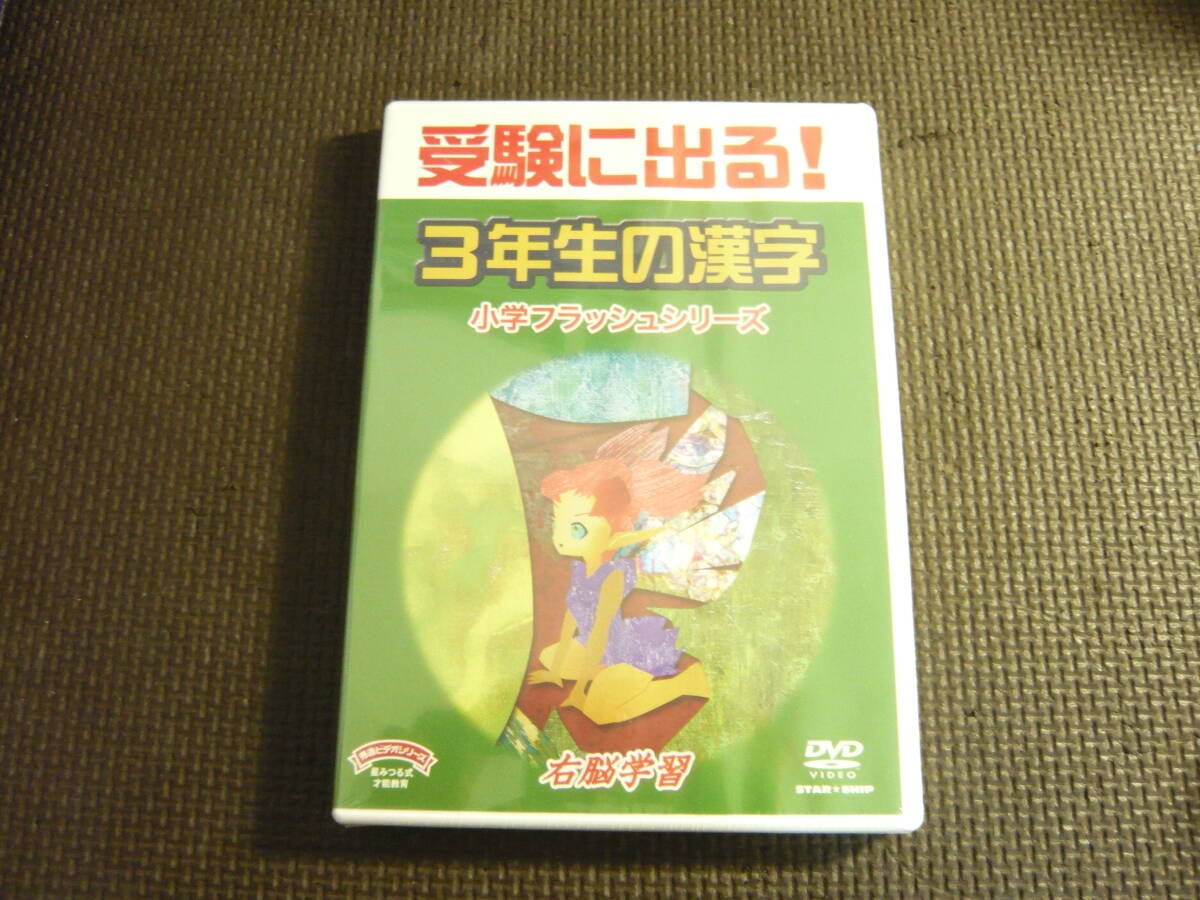 星みつる DVD6枚セット 右脳の言葉 発達障害 対人関係 社会常識 危険 DVD