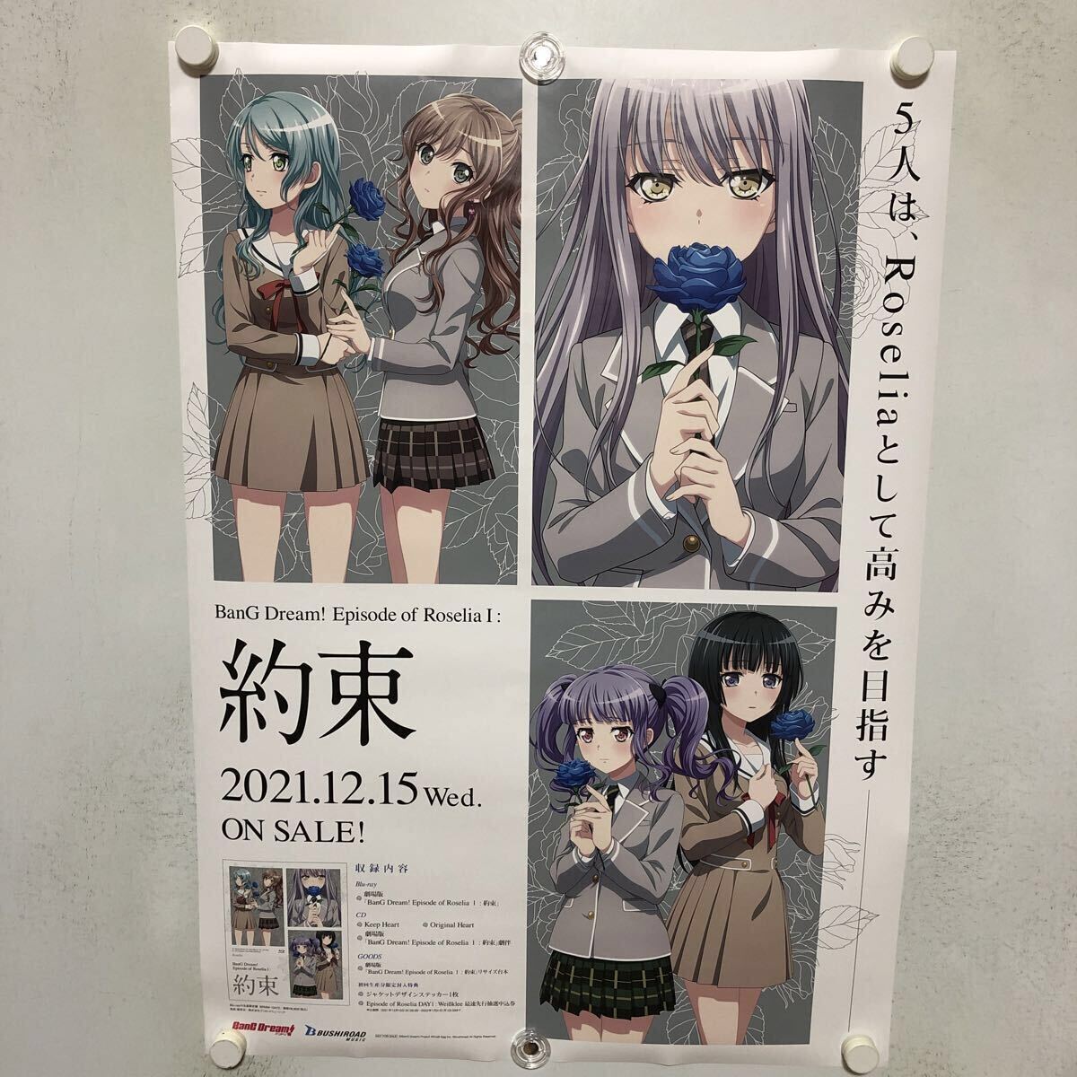 新品】【新品】 咲 -Saki- 阿知賀編 episode of side-A 松実玄 A2