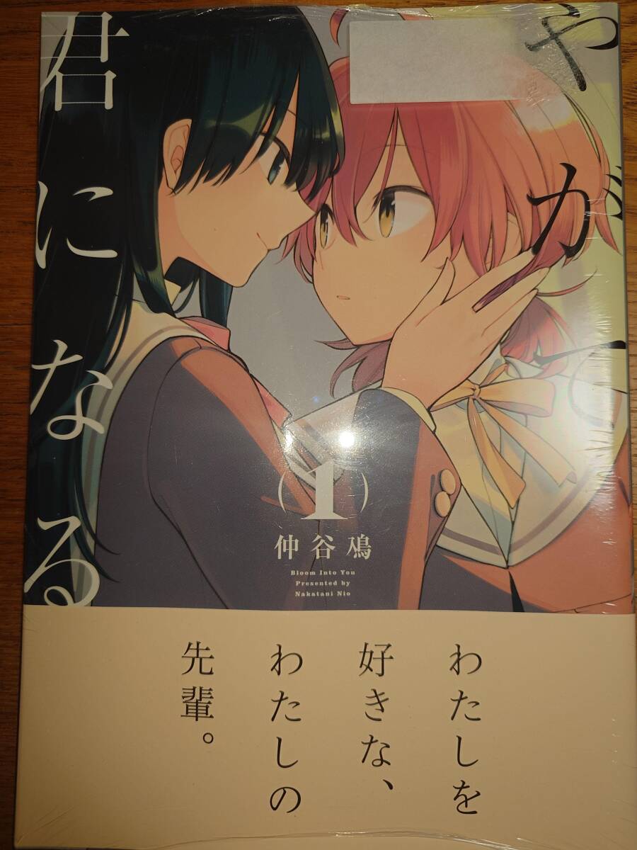 傷や汚れあり】やがて君になる 仲谷鳰／著 電撃コミックスNEXT 全巻