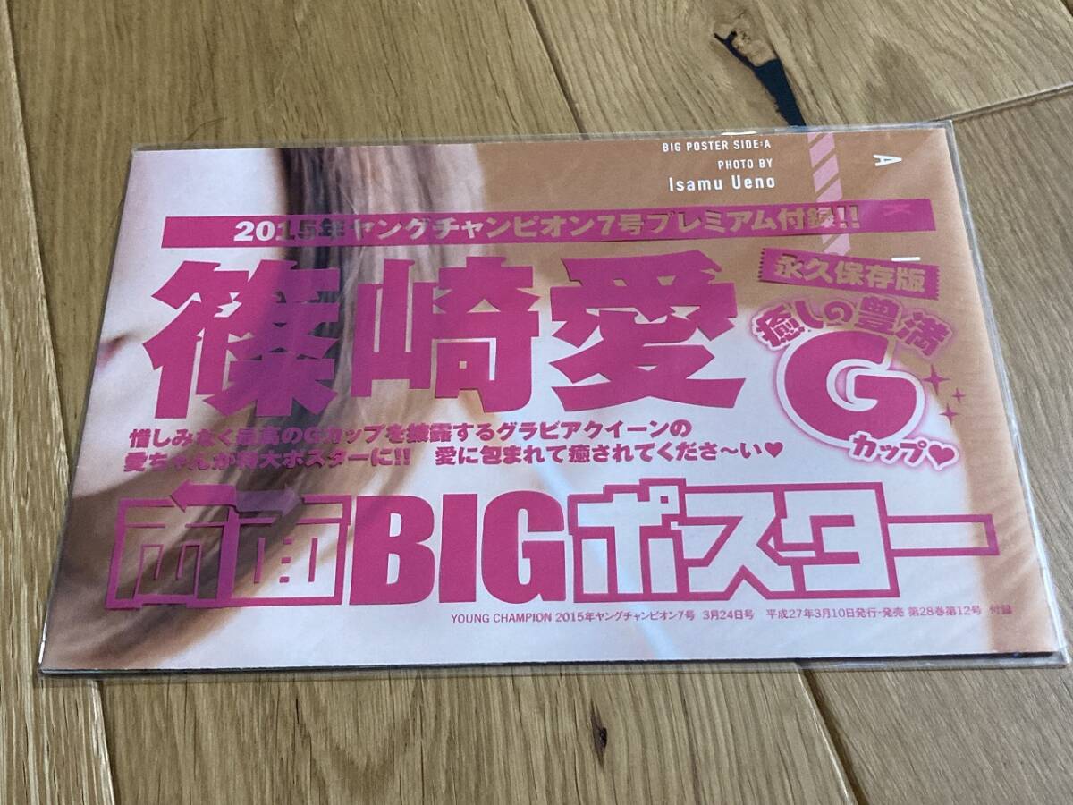 アグネスラム ポスターポートフォリオ 簡易フレーム版 A4サイズ 卓上