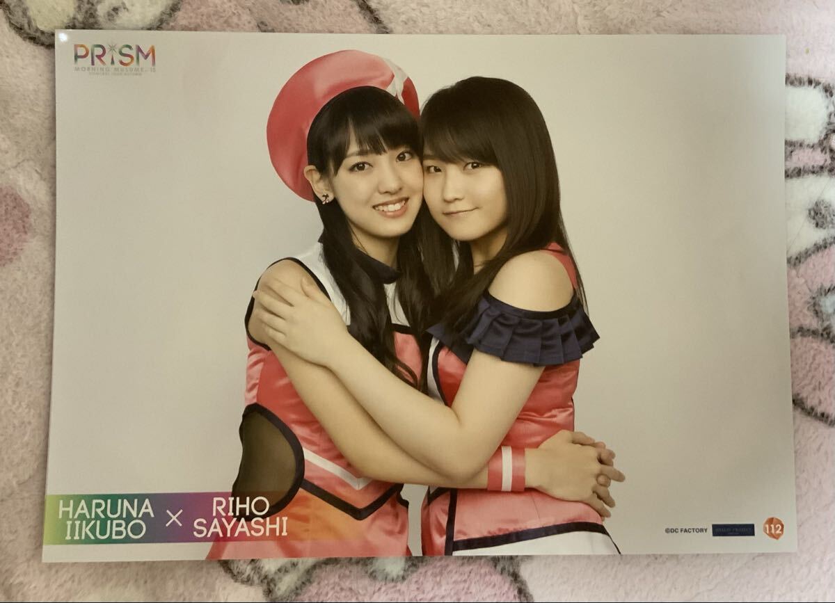鞘師里保ピンポス　15点　ピンナップポスター モーニング娘。'15【鞘師里保】 ライブバージョンL判生写真2枚セット
