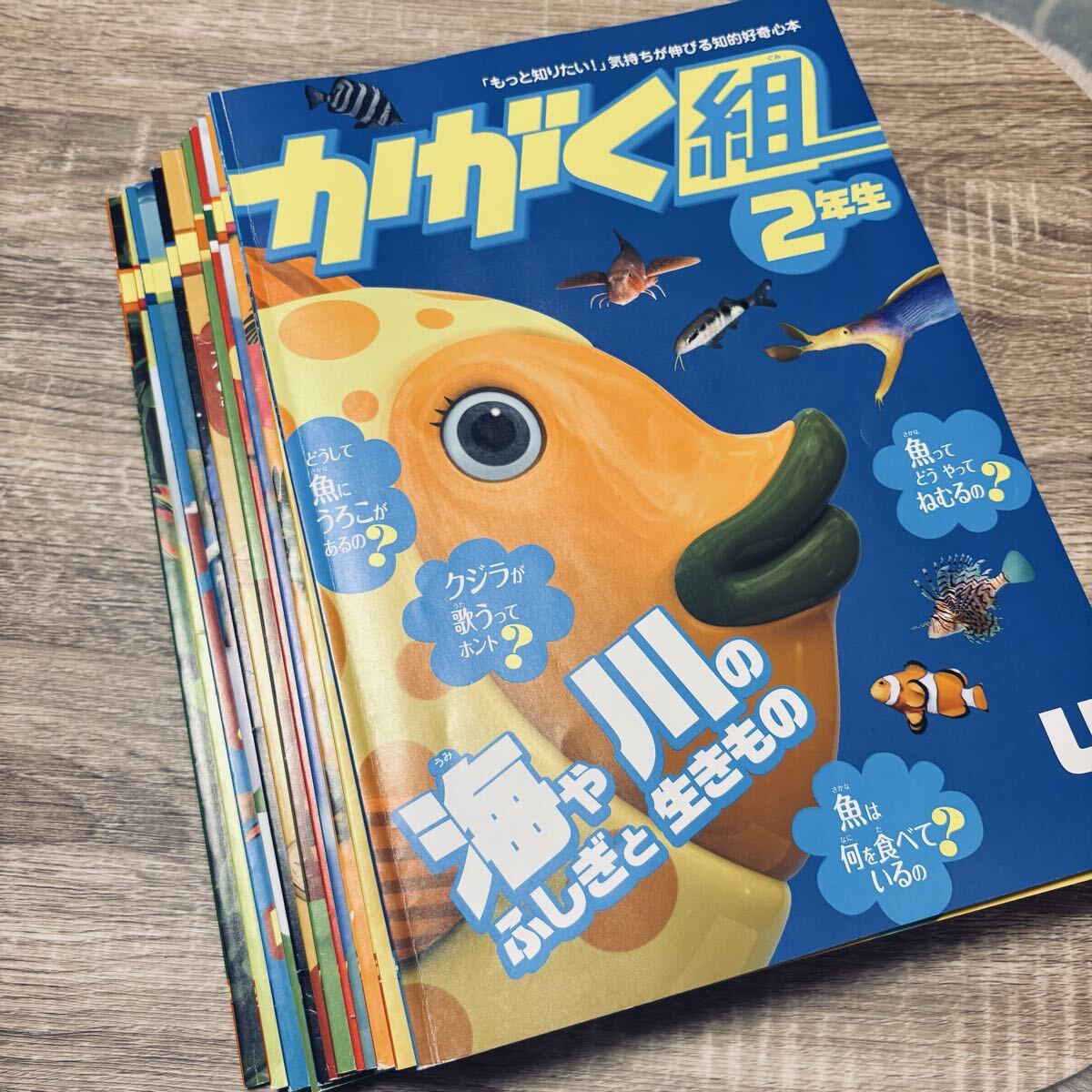 進研ゼミ チャレンジ かがく組 わくわく発見BOOK 3年生 【公式通販】