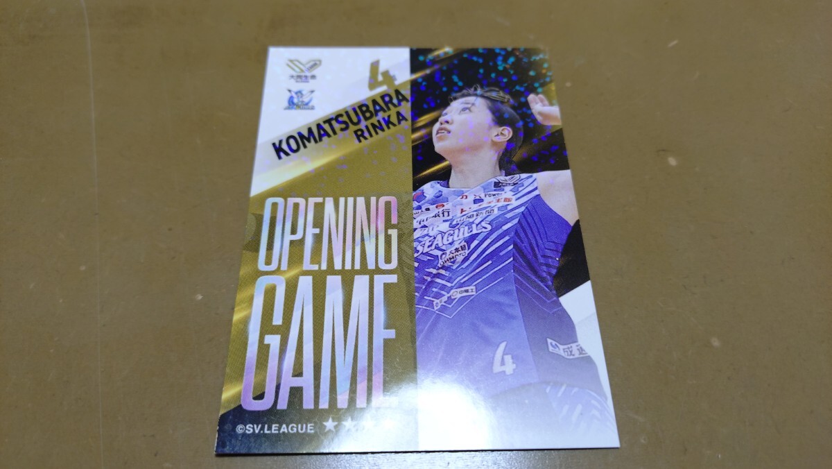 2018-19 Vリーグ 女子バレー【小野寺夏希/岡山シーガルズ】25枚限定
