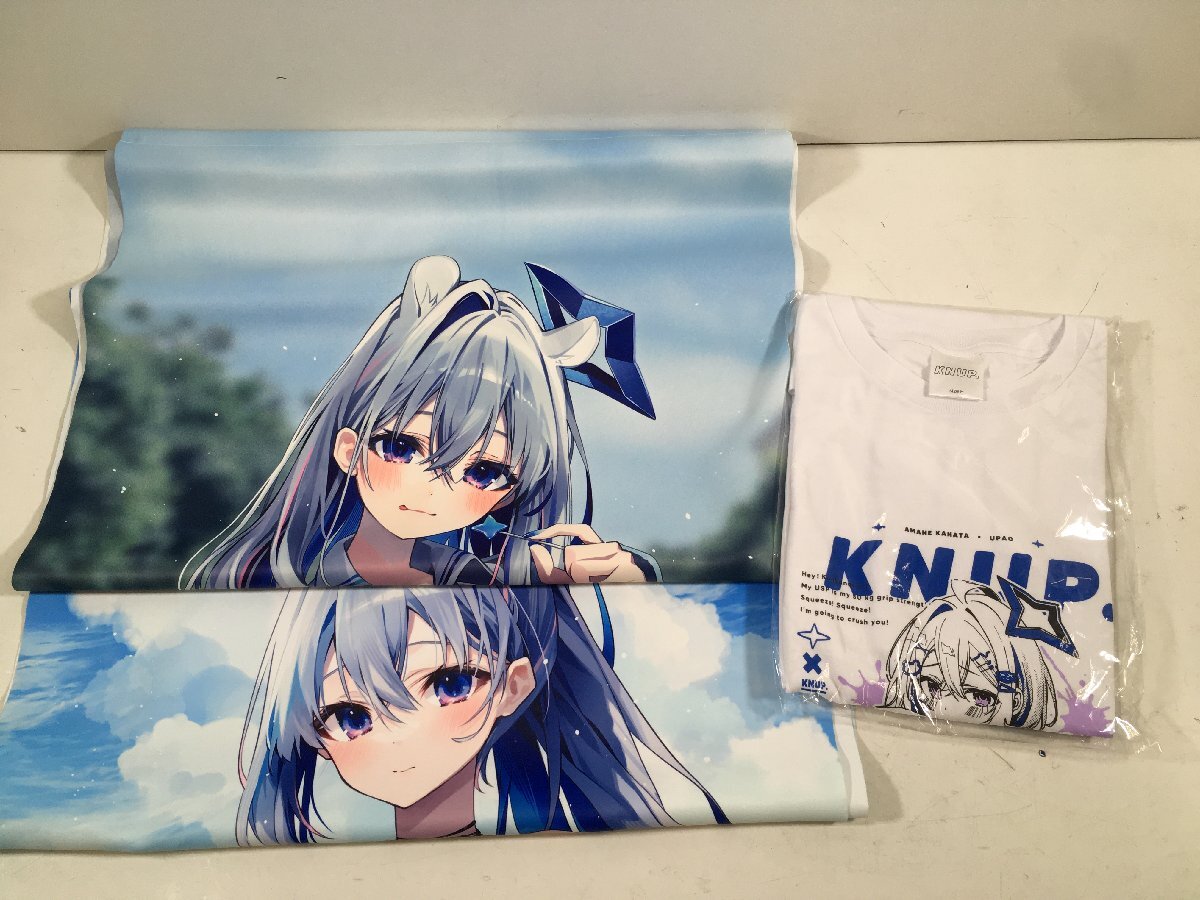湊あくあ B2タペストリー Minato Aqua ホロライブ Hololive 【開封品