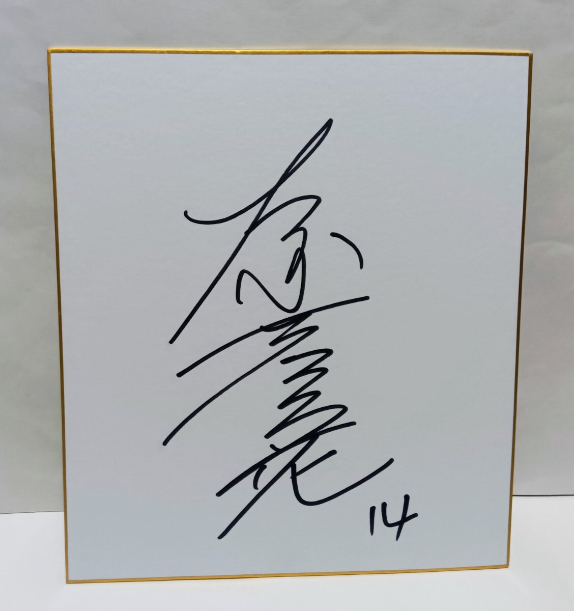 2018-19 Vリーグ 女子バレー【小野寺夏希/岡山シーガルズ】25枚限定