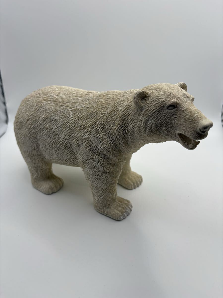 新品】【希少】ホッキョクグマの爪 熊爪 シロクマ ジビエ 羆 ヒグマ と