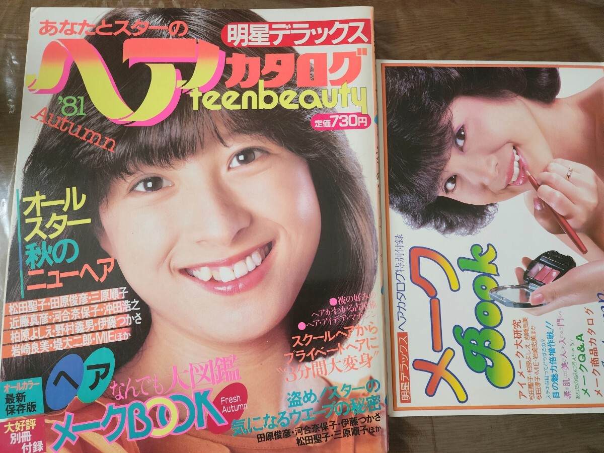 41【同梱可能中古品】昭和56年1981年付録/明星デラックスヘアカタログ