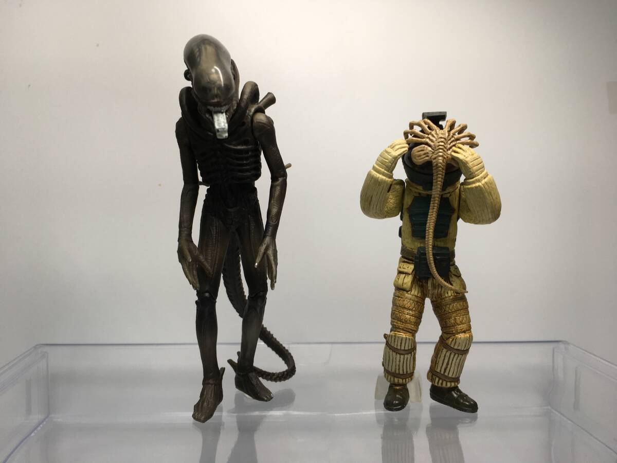 1/1 エイリアン フェイスハガー フィギュア 実物大の落札情報詳細 