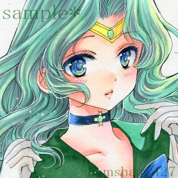 U5 美少女戦士セーラームーン 原画 天王はるか 海王みちるの落札情報