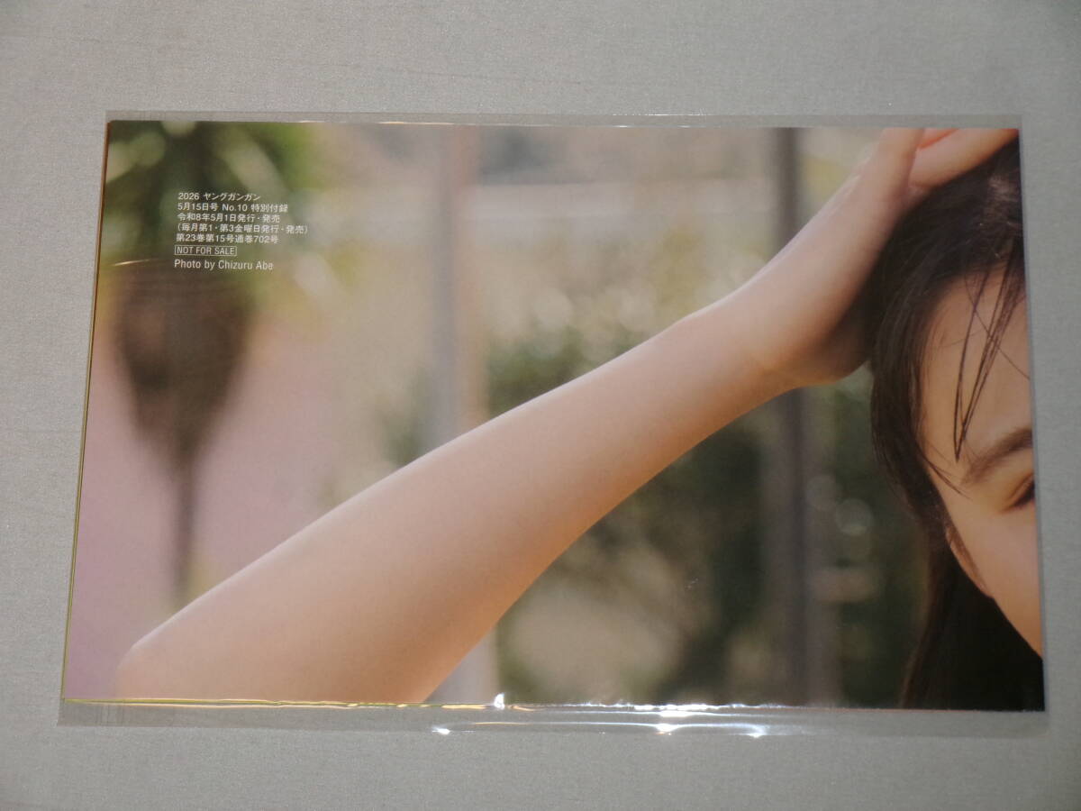 新品】小池里奈＆小池唯 ☆特大両面ポスター☆ ヤングガンガン特別付録