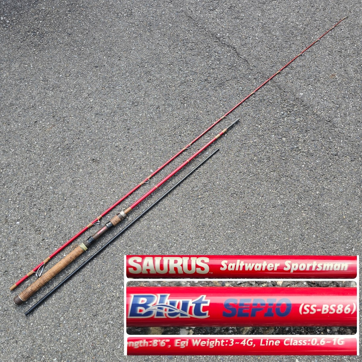 tu45 240) SAURUS ザウルス ソルトウォータースポーツマン PE-60L