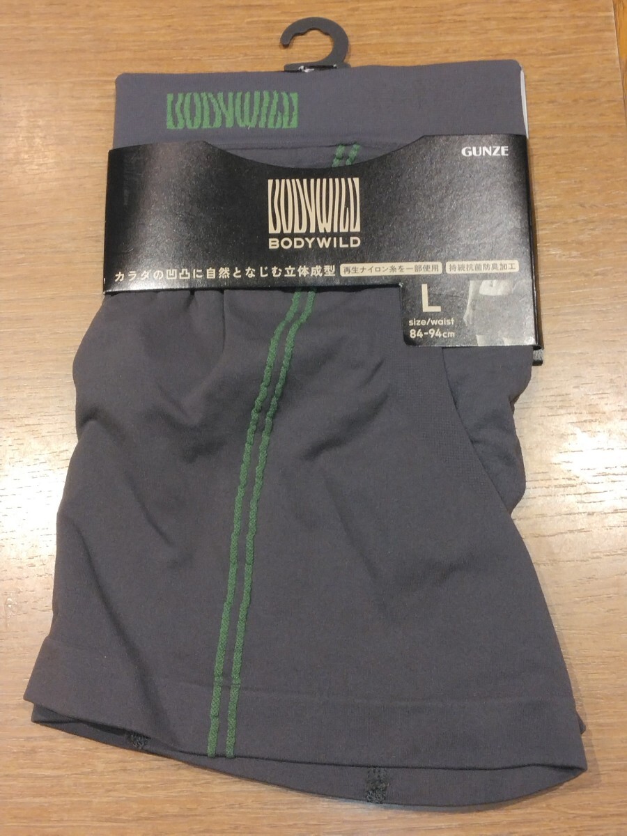 新品】超レア 桐谷美玲 グンゼ 下着 ポスター (GUNZE) BODY WILD B2 未