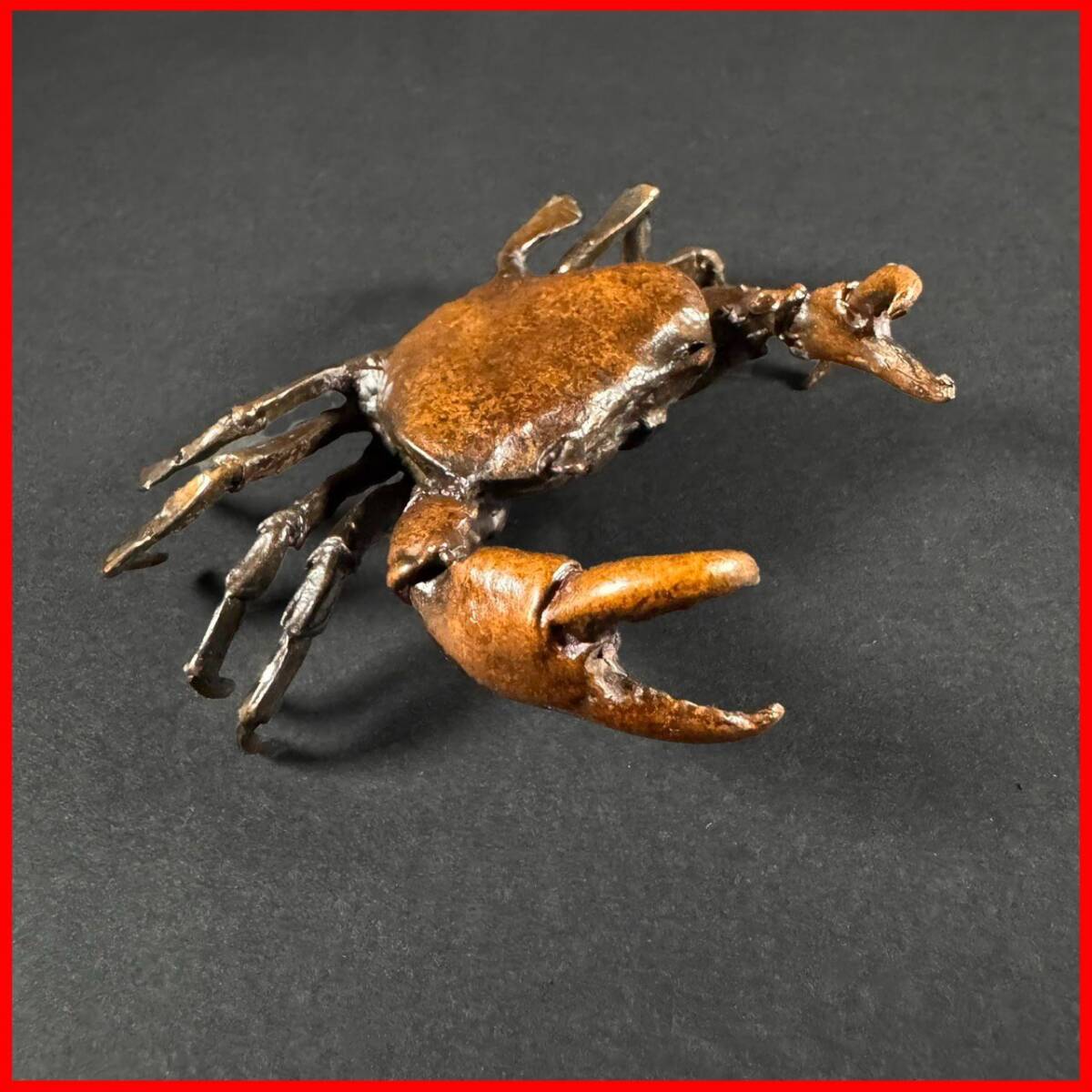 カニ 標本 と貝の化石 Yahoo!オークション - ウミユリトリノアシ貝殻貝標本カニ図鑑オブジェ