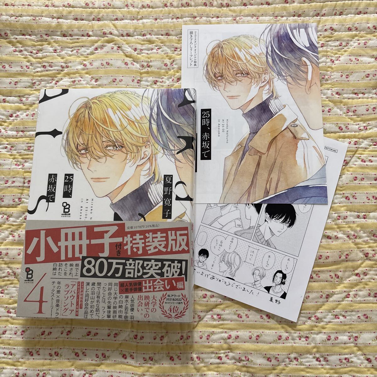 未使用】BL＊未開封 小冊子特装版+リーフレット+P付き【憐れなβは恋を