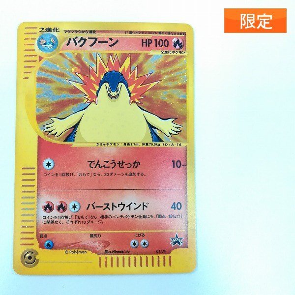 即決】e スターターパック限定イラスト ヒノアラシ マグマラシ