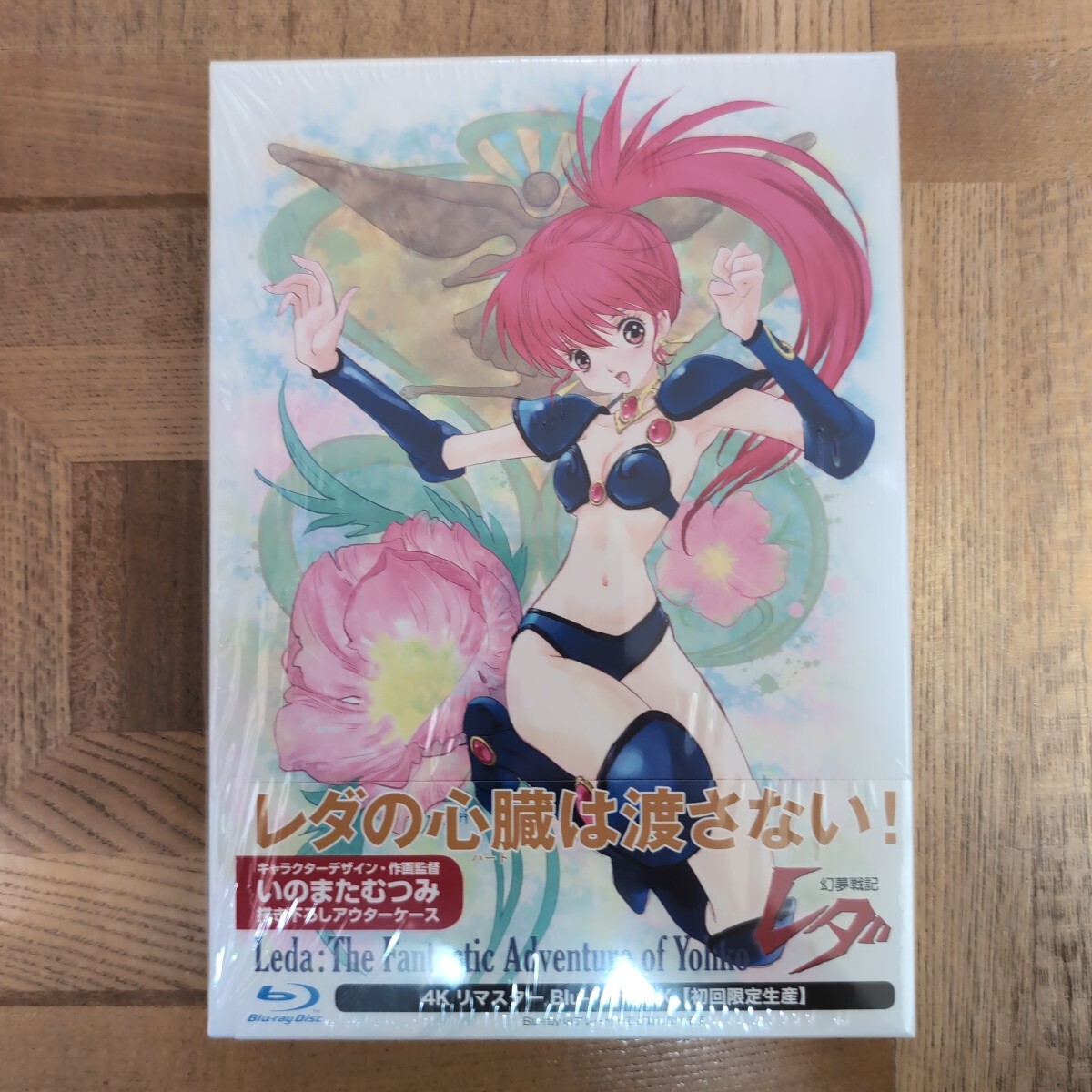 幻夢戦記レダ イラスト＆原画集 】デラックス近代映画版 ジ・アニメ