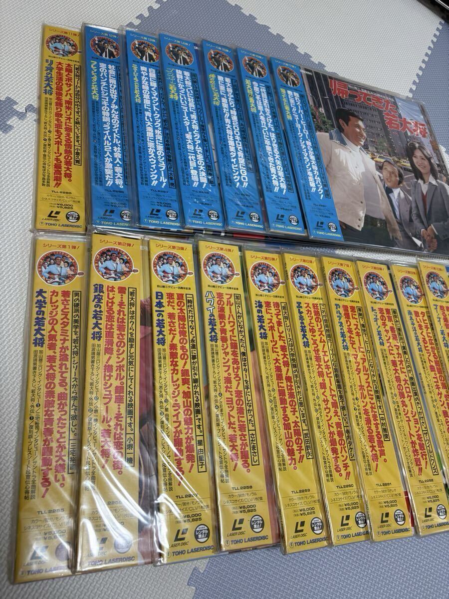 若大将シリーズ DVD 18巻セット レンタル版 ☆即決☆加山雄三 星由里子