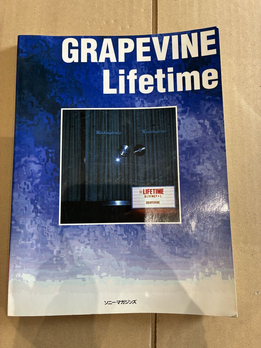 グレイプバイン GRAPEVINE / 家に帰れば カセットテープの落札情報詳細