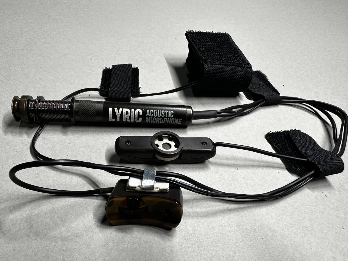L.R.Baggs Dual Source エルアールバックス デュアルソース