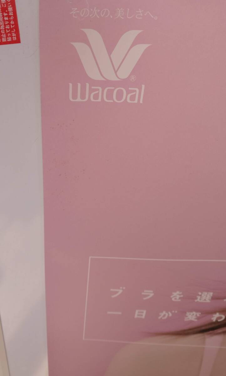 中古】♪♪即決♪5品以上送料無料 ワコール肌着の非売品ポスターの落札
