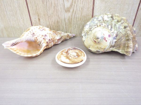 中古】旧家より 修験道 山伏装束 まとめてセット 結袈裟 法螺貝 林勘