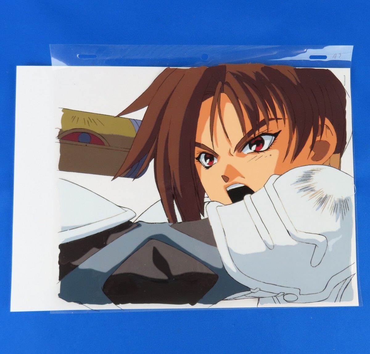 イ・リ・ア~ゼイラム・ジ・アニメーション オフィシャルムック('95