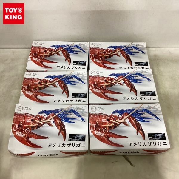 やや傷や汚れあり】白いザリガニ♀単品 (アメリカザリガニ) TL約10